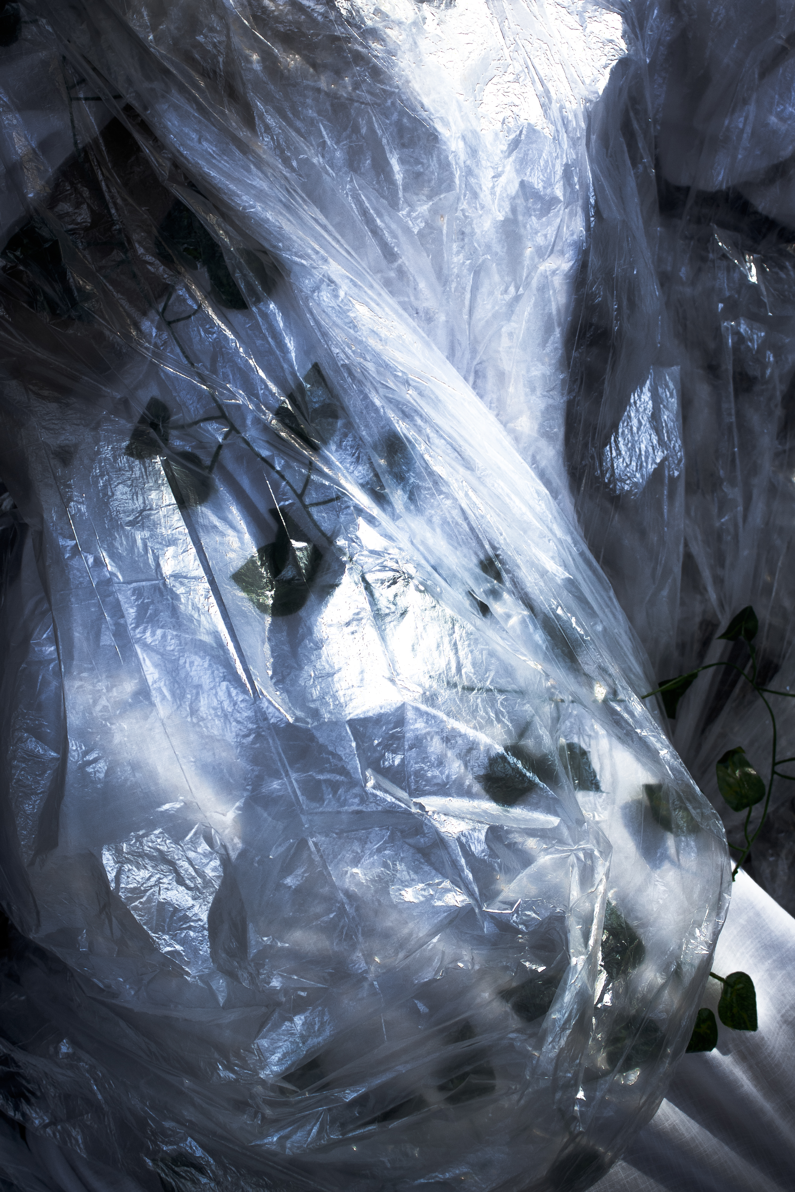 contaminazione