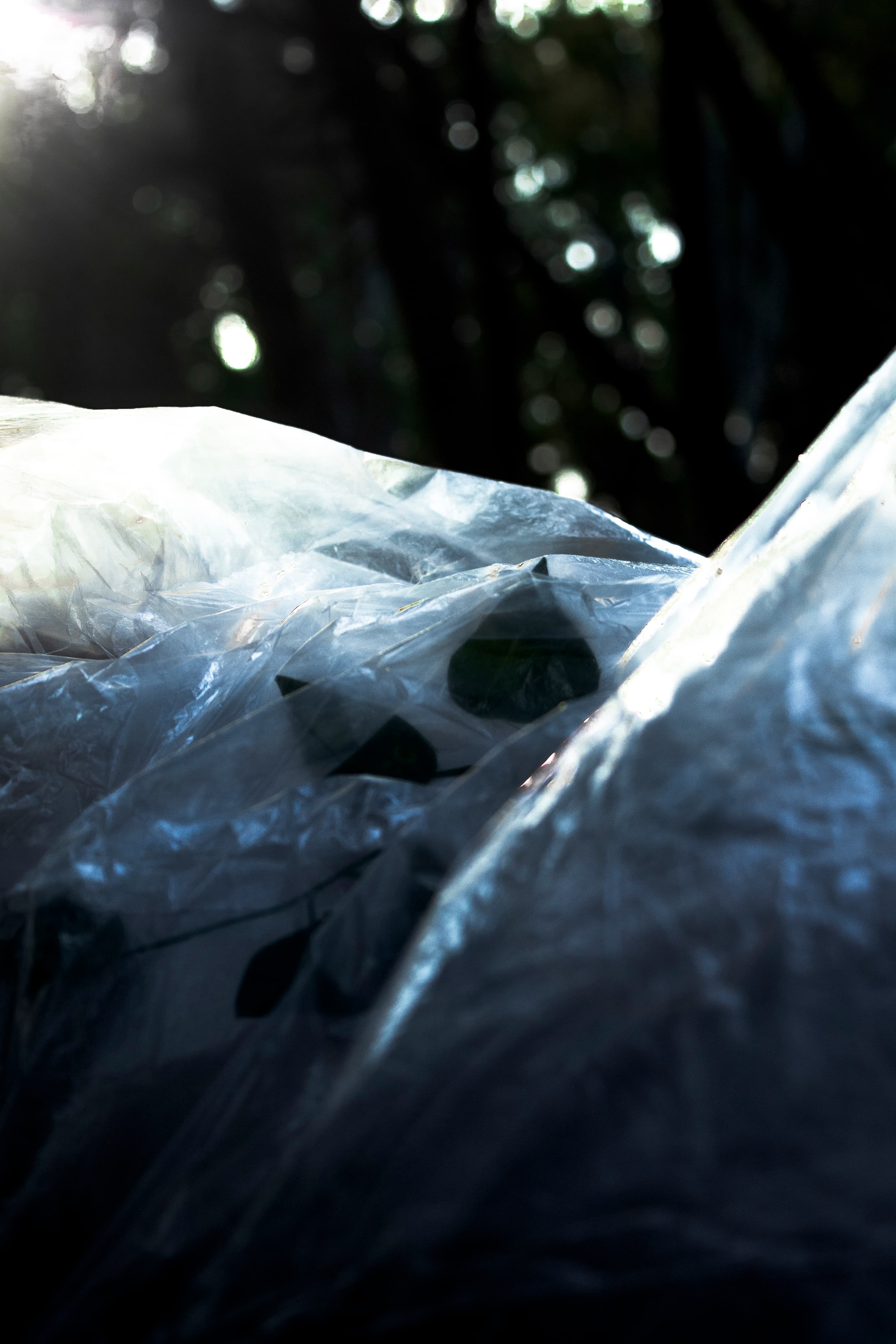 contaminazione